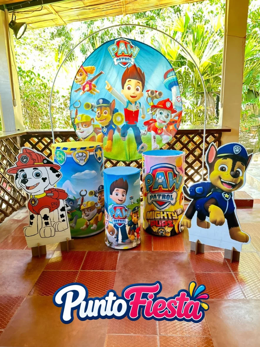 PF-PAW Patrol Niño